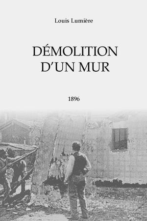 Demolition of a Wall's poster