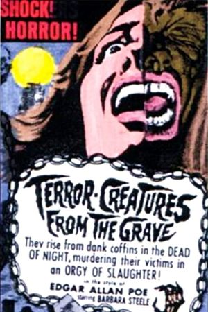 Terror-Creatures from the Grave's poster