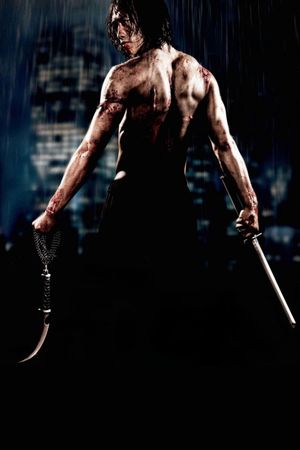 Ninja Assassin's poster
