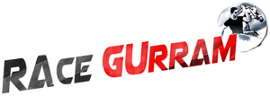 Race Gurram's poster