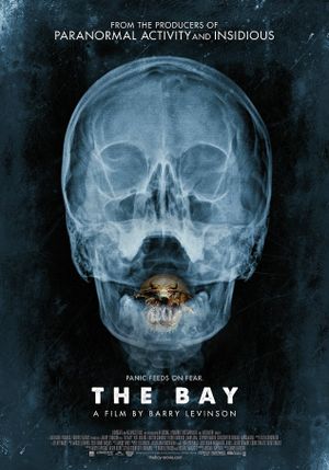 The Bay's poster