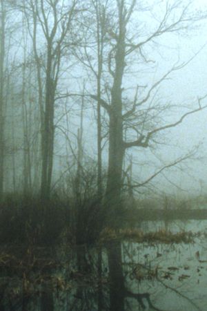 Early Spring Wetlands's poster