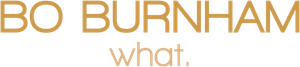 Bo Burnham: What.'s poster