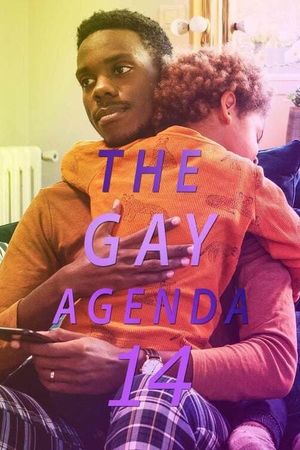 The Gay Agenda 14's poster image