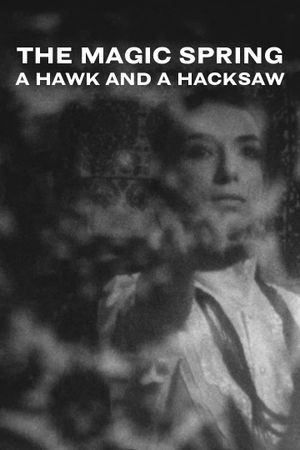 A Hawk and a Hacksaw - The Magic Spring's poster