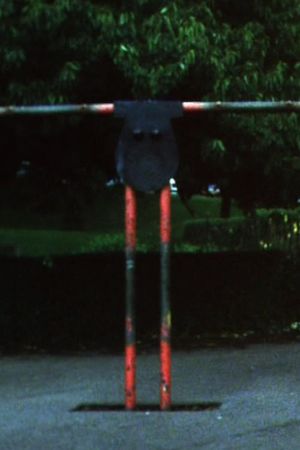 Park Ambassador's poster