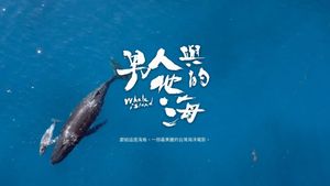 Whale Island's poster