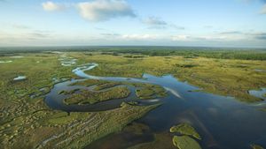 National Parks Exploration Series: The Everglades - A Subtropical Paradise's poster