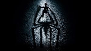 The Amazing Spider-Man's poster