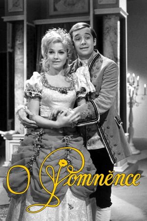 O Pomněnce's poster