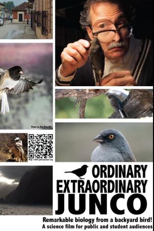 Ordinary Extraordinary Junco's poster