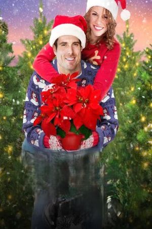 Poinsettias for Christmas's poster
