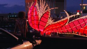 Showgirls's poster