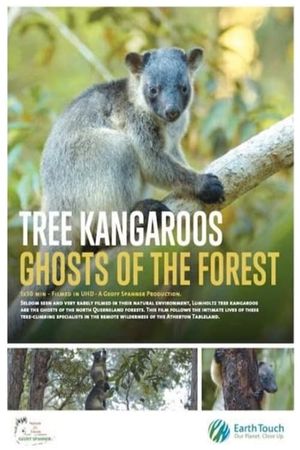 Tree Kangaroos: Ghosts of the Forest's poster