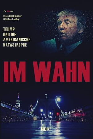 Im Wahn - Trump und die Amerikanische Katastrophe's poster