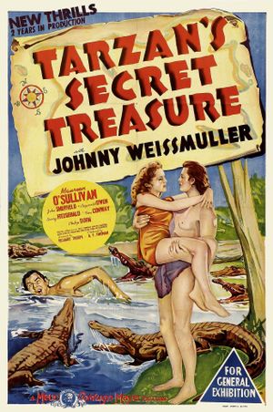 Tarzan's Secret Treasure's poster