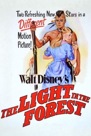 The Light in the Forest's poster