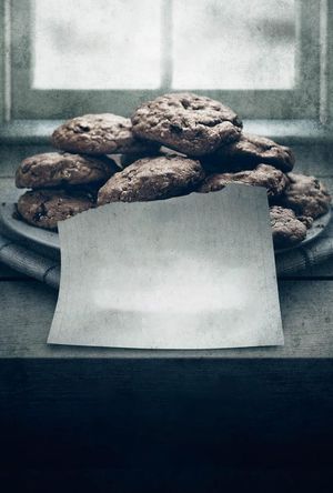 The Visit's poster