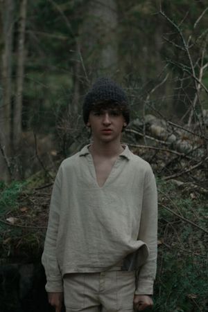 The Boy in the Woods's poster