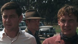 Cool Hand Luke's poster