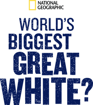 World's Biggest Great White?'s poster