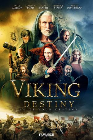 Viking Destiny's poster