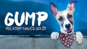 Gump - pes, který naucil lidi zít's poster