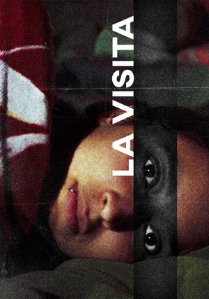 The Visit's poster