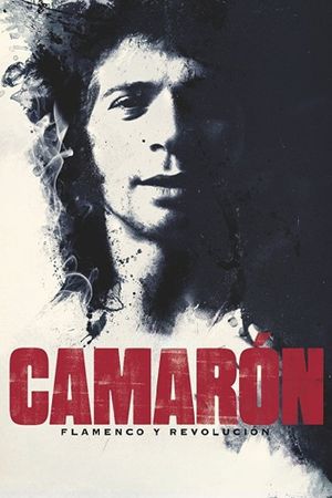 Camarón: Flamenco y revolución's poster