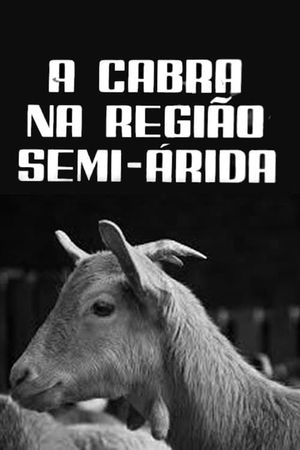 A Cabra na Região Semi-Árida's poster