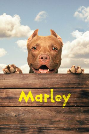 Marley's poster