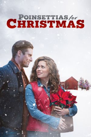 Poinsettias for Christmas's poster