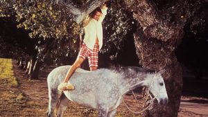 The Horse in the Gray Flannel Suit's poster