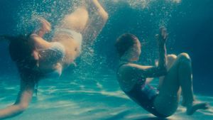 Lady Bird's poster