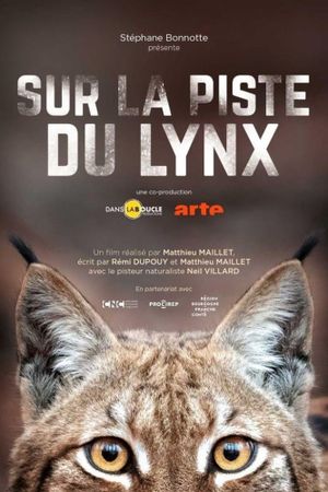 Sur la piste du lynx's poster