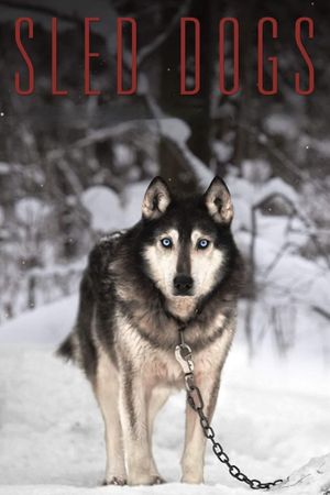 Sled Dogs's poster