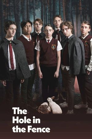 The Hole in the Fence's poster