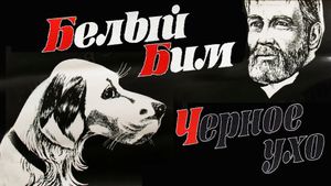 White Bim Black Ear's poster
