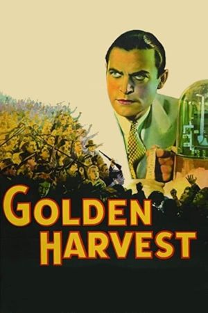 Golden Harvest's poster
