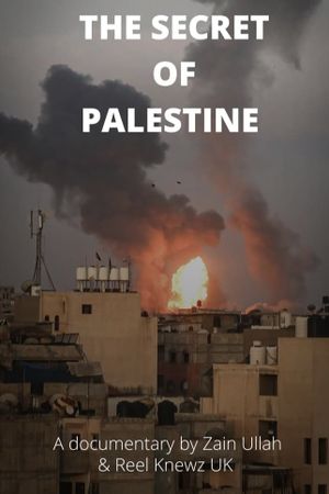 The secret of Palestine's poster