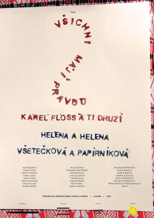 Is Everyone Right? Karel Floss and the Others.'s poster