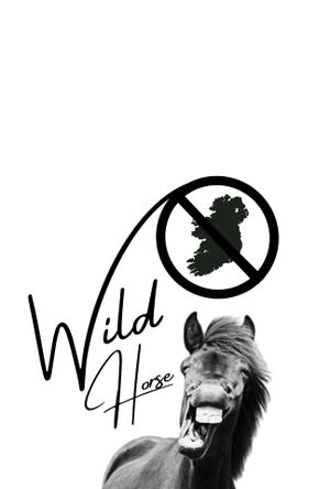 Wild Horse Nine's poster