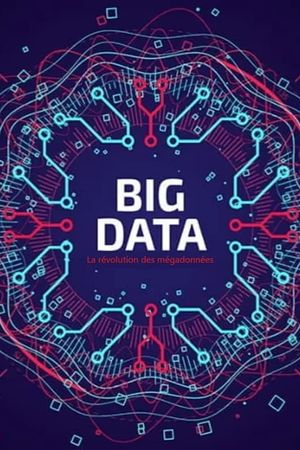 Big Data - La révolution des mégadonnées's poster