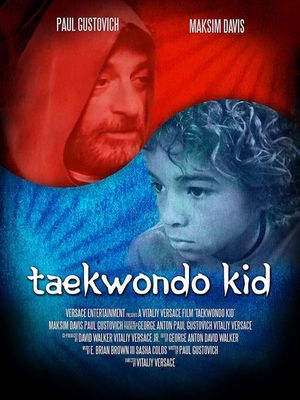 Taekwondo Kid's poster