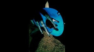 Eyeless Jack's poster