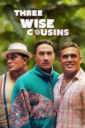 Three Wise Cousins's poster