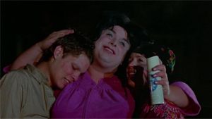 Polyester's poster