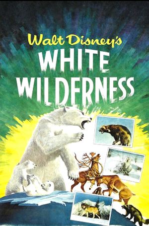 White Wilderness's poster