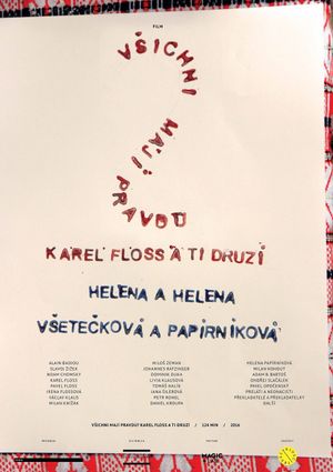 Is Everyone Right? Karel Floss and the Others.'s poster