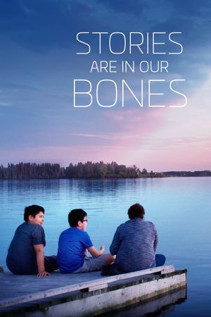 Stories Are in Our Bones's poster
